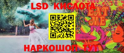 тгк Бердск