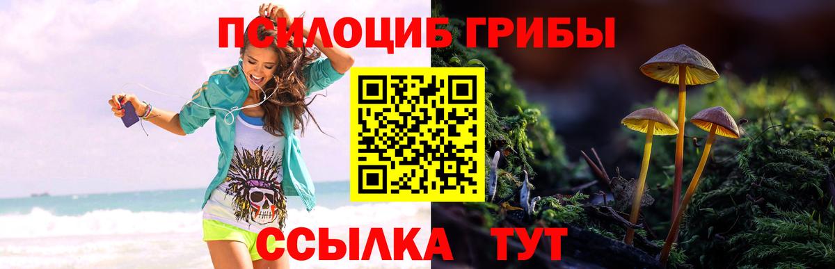 Галлюциногенные грибы Psilocybe  Вход с VPN  Галлюциногенные грибы MAGIC MUSHROOMS  Ефремов 